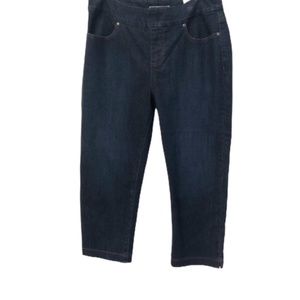 lee pull on jeans petite